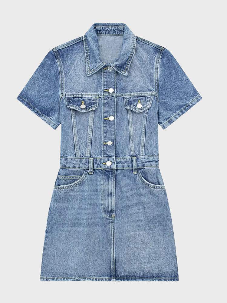 Retro Fit Denim Dress