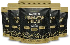 Kidney Support Shilajit Gummies